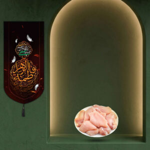 شنیسل بسته 10 کیلویی